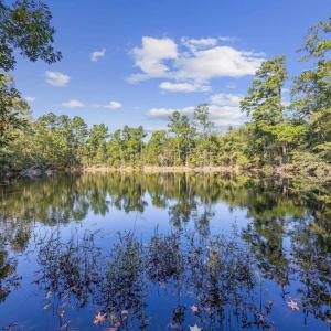 Photo #7 of TBD Old Reaves Ferry Rd., Conway, SC 35.6 acres