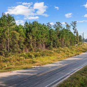 Photo #3 of TBD Old Reaves Ferry Rd., Conway, SC 35.6 acres