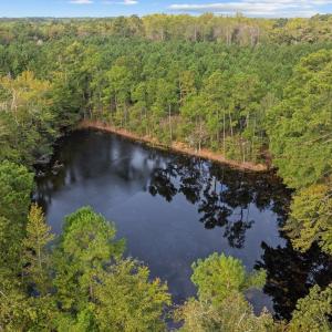 Photo #8 of TBD Old Reaves Ferry Rd., Conway, SC 35.6 acres
