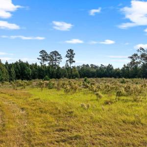 Photo #4 of TBD Old Reaves Ferry Rd., Conway, SC 35.6 acres