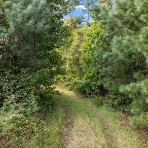 Photo #6 of TBD Old Reaves Ferry Rd., Conway, SC 35.6 acres