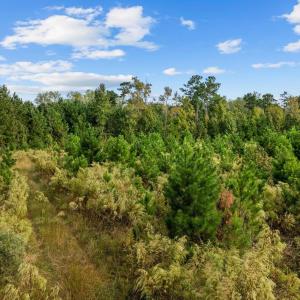 Photo #11 of TBD Tract A Old Reaves Ferry Rd., Conway, SC 17.9 acres