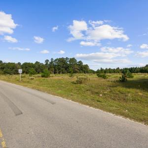 Photo #16 of TBD Tract A Old Reaves Ferry Rd., Conway, SC 17.9 acres