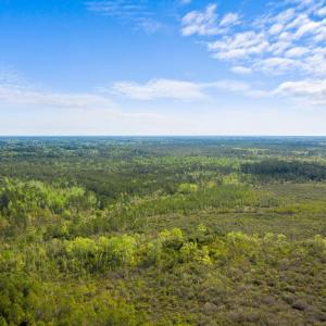 Photo #1 of TBD Water Tower Rd., Longs, SC 194.0 acres