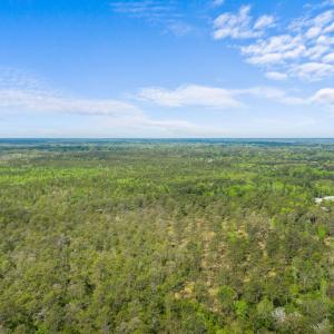 Photo #5 of TBD Water Tower Rd., Longs, SC 194.0 acres