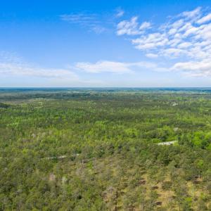 Photo #7 of TBD Water Tower Rd., Longs, SC 194.0 acres