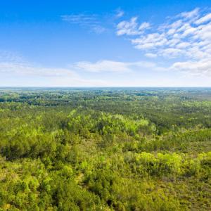 Photo #4 of TBD Water Tower Rd., Longs, SC 194.0 acres