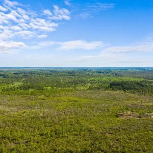 Photo #6 of TBD Water Tower Rd., Longs, SC 194.0 acres