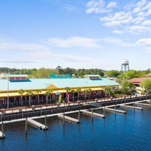 Photo #9 of TBD Water Tower Rd., Longs, SC 194.0 acres