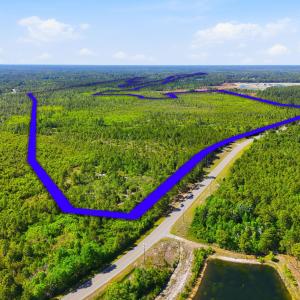 Photo #16 of TBD Water Tower Rd., Longs, SC 194.0 acres