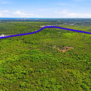 Photo #14 of TBD Water Tower Rd., Longs, SC 194.0 acres