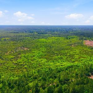 Photo #9 of TBD Water Tower Rd., Longs, SC 194.0 acres