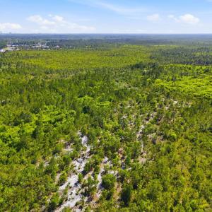 Photo #21 of TBD Water Tower Rd., Longs, SC 194.0 acres