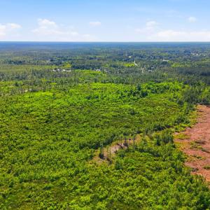 Photo #12 of TBD Water Tower Rd., Longs, SC 194.0 acres
