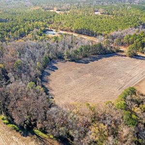 Photo #3 of TBD Watts Rd., Loris, SC 5.0 acres