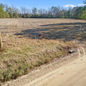 Photo #1 of TBD Watts Rd., Loris, SC 5.0 acres