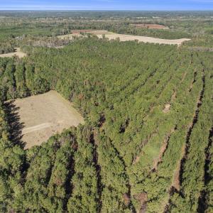 Aerial overview of property's location with a fore