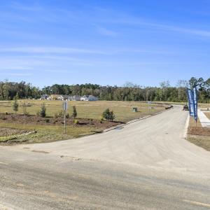 Photo #28 of 4560 Bottle Branch Rd., Conway, SC 275.5 acres