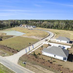 Photo #25 of 4560 Bottle Branch Rd., Conway, SC 275.5 acres