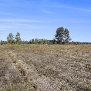 View of nature with rural landscape