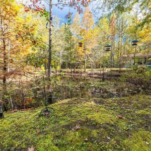 Photo #12 of 799 Redmond Ct., Conway, SC 4.5 acres