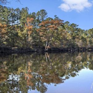Water view featuring a heavily wooded area