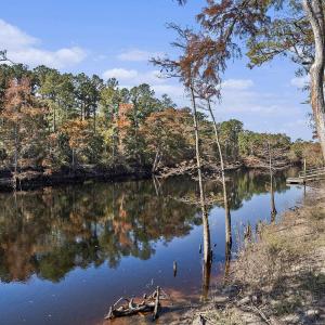 Water view with a heavily wooded area