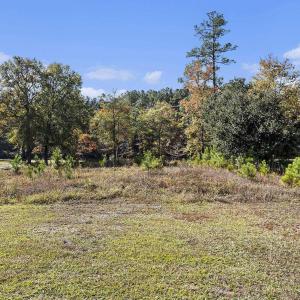 View of undeveloped land
