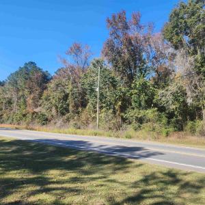 Photo #2 of TBD81 Highway 90, Longs, SC 2.0 acres
