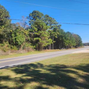 Photo #4 of TBD81 Highway 90, Longs, SC 2.0 acres