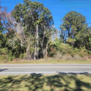Photo #3 of TBD81 Highway 90, Longs, SC 2.0 acres