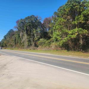 Photo #1 of TBD81 Highway 90, Longs, SC 2.0 acres