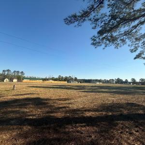 Photo #1 of TBD Janice Ct, Latta, SC 0.5 acres