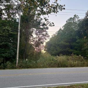 View of asphalt road featuring view of wooded area