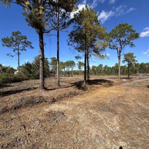 View of undeveloped land