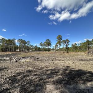 View of nature with rural landscape