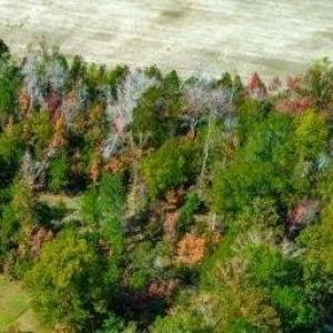 View of property location