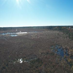 View of undeveloped land featuring a nearby body o