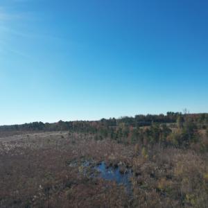 View of undeveloped land