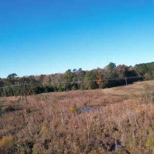 View of woods with a view of countryside