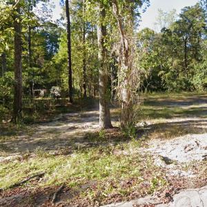 Photo #1 of 238 Pineneedle Circle, Johnsonville, SC 0.3 acres