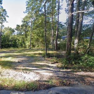 Photo #1 of 234 Pineneedle Circle, Johnsonville, SC 0.3 acres