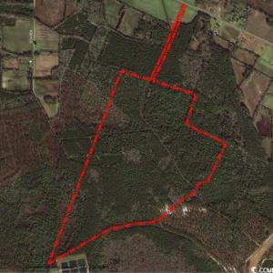 Photo #1 of TBD Coates Rd., North Myrtle Beach, SC 181.2 acres