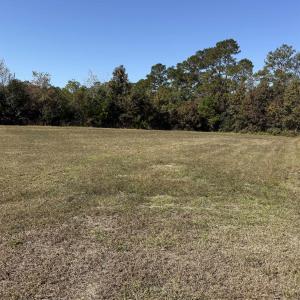 Photo #3 of 118 Quigley Pl, Aynor, SC 0.6 acres