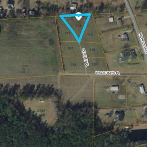 Photo #5 of 118 Quigley Pl, Aynor, SC 0.6 acres