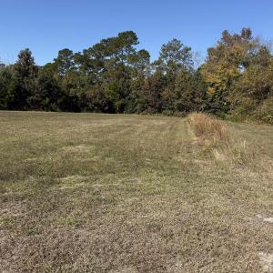 Photo #1 of 118 Quigley Pl, Aynor, SC 0.6 acres
