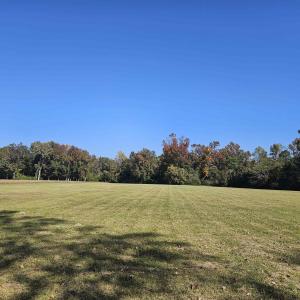 View of green lawn featuring a view of rural / pas