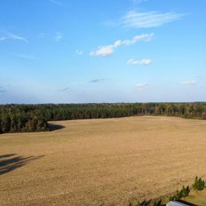 Photo #8 of TBD Salem Rd., Aynor, SC 24.9 acres