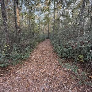 Photo #13 of TBD Salem Rd., Aynor, SC 24.9 acres