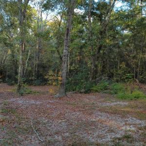 Photo #2 of TBD Salem Rd., Aynor, SC 24.9 acres